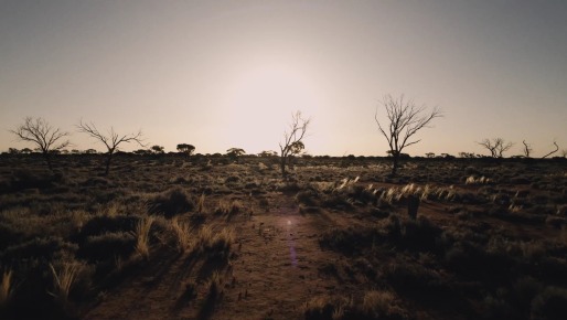 Heat Stroke: A Silent Killer